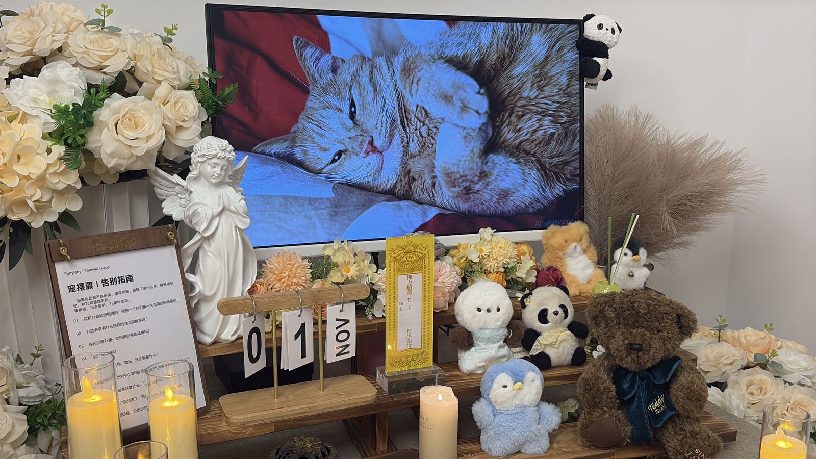 宠物告别仪式的鲜花与纪念布置
